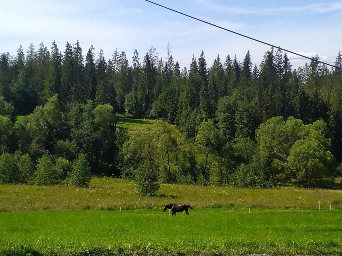 Domek U Mrugaly Poronin Extérieur photo
